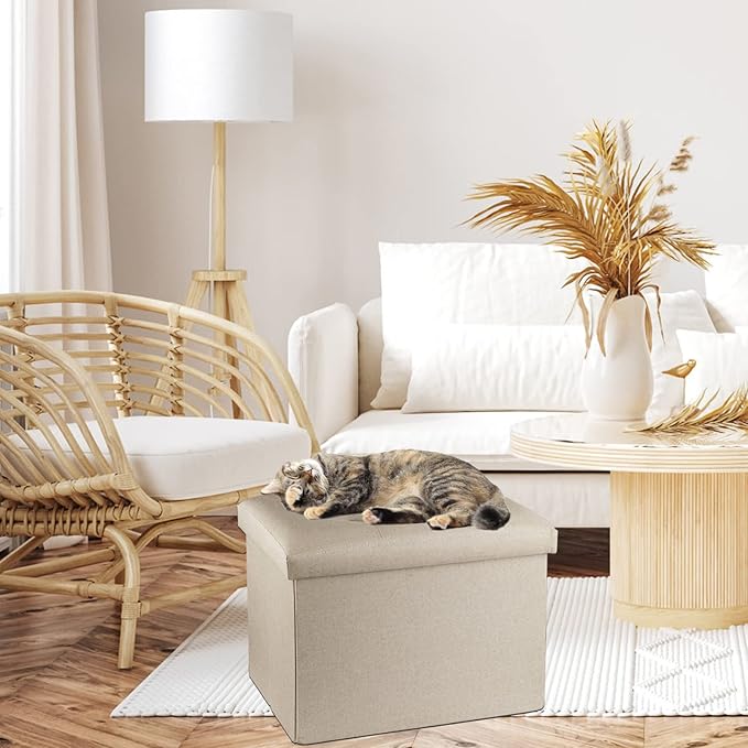 ALASDO Storage Ottoman Footrest Stool Small Ottoman with Storage Foldable Ottoman Foot Rest Footstool Bench for Living Room 17x13x13inches Beige-Ruum Studio Home