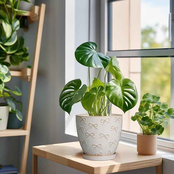 Ceramic Plant Pot 6.9 Inch - Ceramic Planter with Drainage Hole and Saucer Round Planter Flower Pot for Indoor Plants Outdoor Home Garden Office Decor White-Ruum Studio Home