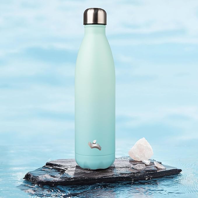 Insulated Water Bottles,25 oz Double Wall Stainless Steel Vacumm Metal Flask for Sports Travel,Mint-Ruum Studio Home