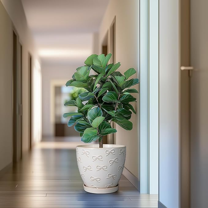 Pots for Plants 10 Inch - Ceramic Planter Large Plant Pot for Indoor Plants Outdoor Round Flower Pot with Drainage Hole and Saucer Home Garden Decor White-Ruum Studio Home