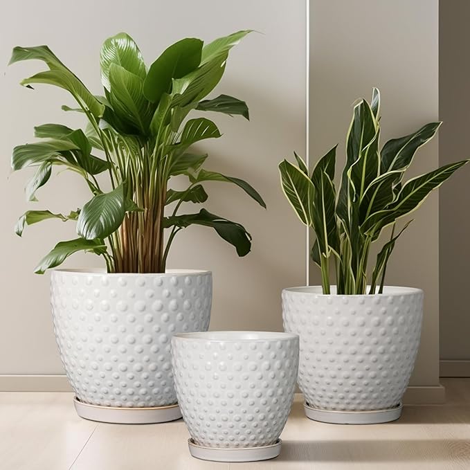 G EPGardening 10 Inch Plant Pot Ceramic Pots for Plants Indoor Outdoor Plant Pots with Drainage Hole and Saucer Round Large Flower Pot for Home Garden Office White-Ruum Studio Home