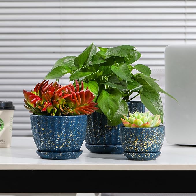 Ceramic Plant Pots with Drainage Holes and Saucers, Round Blue Flower Pots for Indoor Plant, Diameter 3.3/4.3/5.5 Inches Small Mini Flower Planters Set of 3-Ruum Studio Home