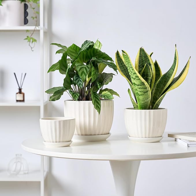 4/5/6 Inches Ceramic Plant Pots with Drainage Holes and Saucers, Round Flower Pots for Indoor Plant, Modern Flower Planters Set of 3 (White-Big Size)-Ruum Studio Home