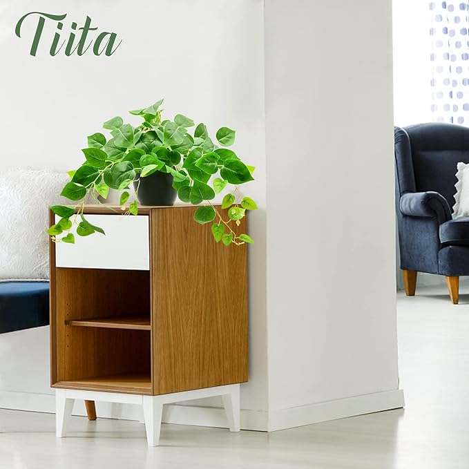 Tiita 1 Pack Fake Plants Artificial Scindapsus Aureus in Pots, Realistic Fake Greenery Potted Plants for Home Office Desk Window Sill Bathroom Bedroom Outdoor Indoor-Ruum Studio Home
