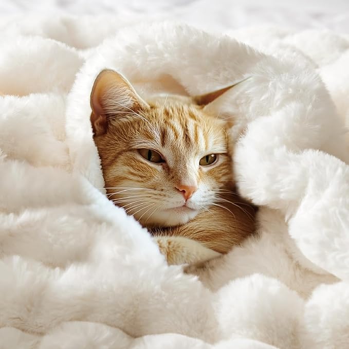 BEDELITE Faux Fur Throw Blanket for Couch, Soft and Cozy Luxurious 3D Striped Fluffy Blanket, 770GSM Thick Warm Plush Fuzzy Faux Rabbit Fur Blanket for Women Gift (Cream, 60"x 80")-Ruum Studio Home