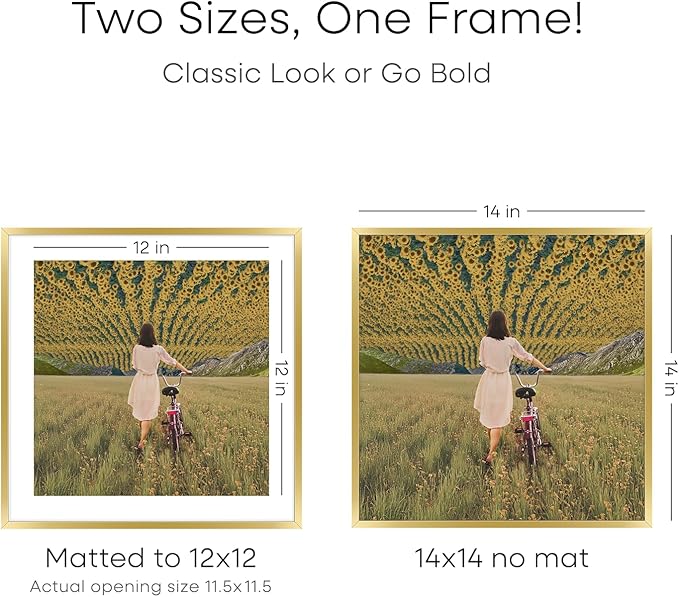 Homeforia 14x14 Picture Frame Gold, High End Metal 14 x 14 Square Poster Frame with Mat 12 x 12 Photo, 14x14 Frame Matted to 12x12 Print, 14by14 Gold Hanging Frames, Tempered Glass, Wall Kit, Set of 1-Ruum Studio Home