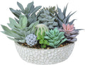 Premium Assorted Artificial Succulent Collection - Large Real Touch Artificial Cactus, Aloe Vera & Succulent Plants Artificial with Pots for Home Office Indoor (Artificial Glass - Pot)-Ruum Studio Home