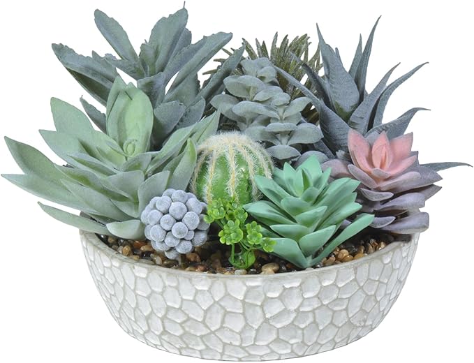 Premium Assorted Artificial Succulent Collection - Large Real Touch Artificial Cactus, Aloe Vera & Succulent Plants Artificial with Pots for Home Office Indoor (Artificial Glass - Pot)-Ruum Studio Home