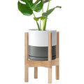 D'vine Dev Ceramic Planter with Natural Stand - 8 Inch Modern Round Flower Pot with Wood Planter Holder, White/Grey, 55-B-N-6-Ruum Studio Home