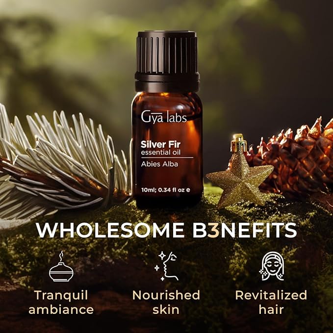 Gya Labs Silver Fir Essential Oil for Diffuser - 0.34 Fl Oz - 100% Pure Natural Silver Fir Oil for Skin, Hair, Aromatherapy & Candle Making Scent-Ruum Studio Home