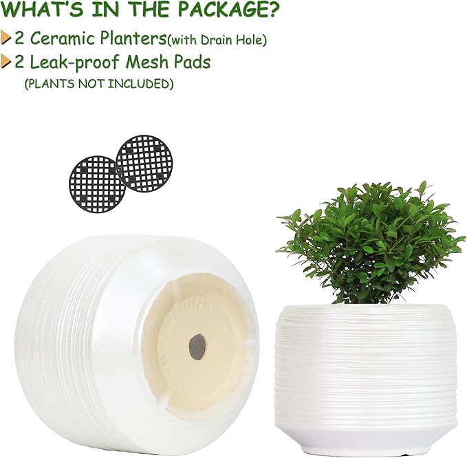 8 Inch + 6 Inch Ceramic Plant Pots Indoor with Drainage – Flower Pot Set, Decorative Indoor Planters for House Plants and Garden Use-Ruum Studio Home