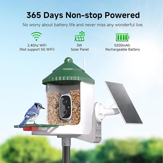 Bird Feeder with Camera AI Identify 2K Live Video Smart Bird Feeder with Camera, 2.4GHZ WiFi Solar Birds House Cameras, Motion Detection Instant Arrival Alerts, Ideal Present for Birds Lovers-Ruum Studio Home