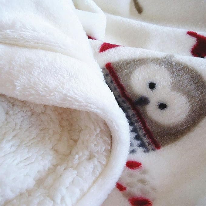 UKELER Owl Sherpa Fleece Blanket Queen Size 80''×90''- Ultra Soft Cozy Flannel Blanket for Bed/Couch/Sofa/Office/Camping, Great Gift for Women's Day,Mother's Day,Father's Day,Thanksgiving,Christmas-Ruum Studio Home