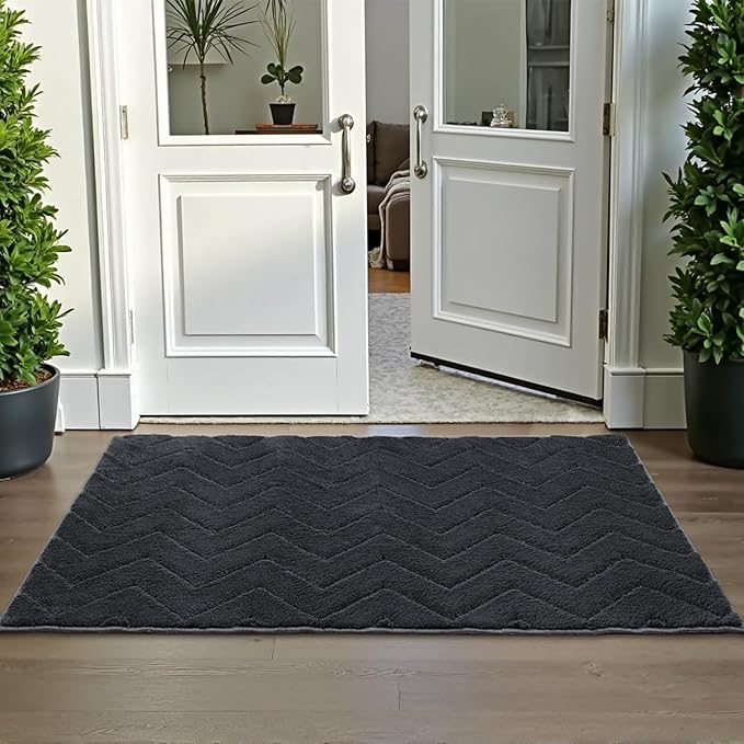 Stiio Front Door Mat Indoor Outdoor Entrance 20x31.5 Inches, Non Slip Washable Entry Rug, Dog Doormat, Absorbent Entrance Mat for Front & Back Door, Muddy Wet Shoes & Paws, Dark Grey-Ruum Studio Home