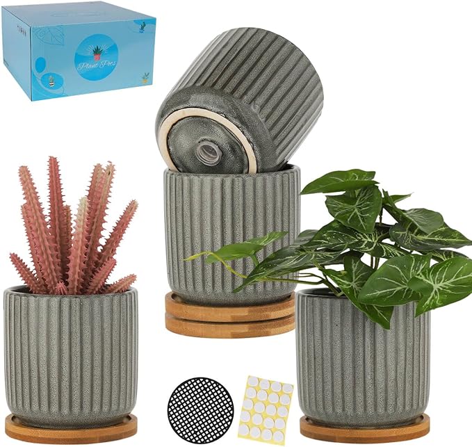 TAMAYKIM 4 Inch Cylinder Ceramic Plant Pots with Drainage Holes & Saucers, Glazed Green Grey Small Boho Planters with Trays for Indoor Flower, Snake Plants, Succulent, Cactus, Set of 4-Ruum Studio Home
