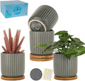 TAMAYKIM 4 Inch Cylinder Ceramic Plant Pots with Drainage Holes & Saucers, Glazed Green Grey Small Boho Planters with Trays for Indoor Flower, Snake Plants, Succulent, Cactus, Set of 4-Ruum Studio Home