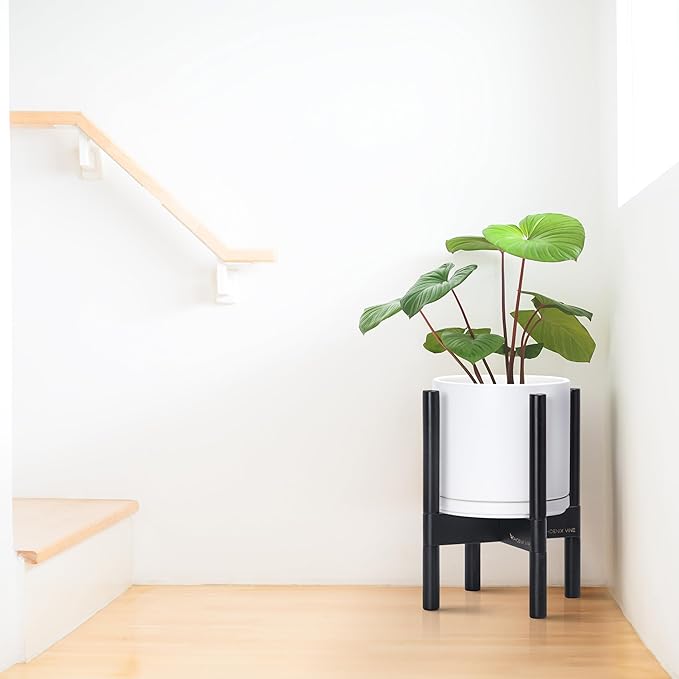 D'vine Dev Ceramic Planter with Ebony Stand - 8 Inch Modern Round Flower Pot with Wood Planter Holder, White, 55-B-M-1-Ruum Studio Home