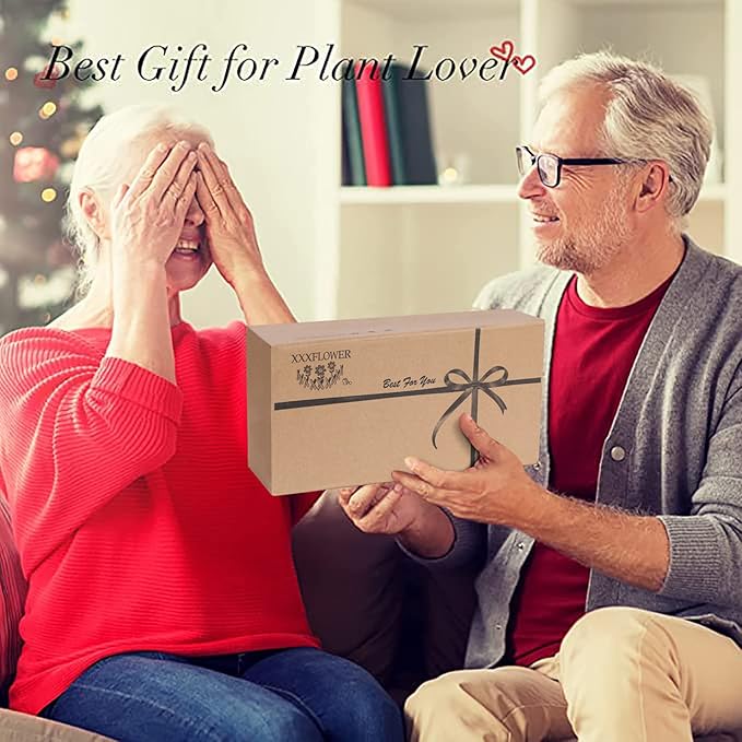 XXXFLOWER Wall Hanging Terrarium Planter with 5 Test Tubes,Wall Planters for Indoor Plants,Plant Lover Gifts for Women Garden Office Decoration-Ruum Studio Home