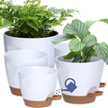 Uneed Indoor Self Watering Planters with Drainage Holes and Saucers, 7/6.5/6/5.5/5 Inch-5 Pots,for Indoor Plants, Herbs, Succulents (White)-Ruum Studio Home