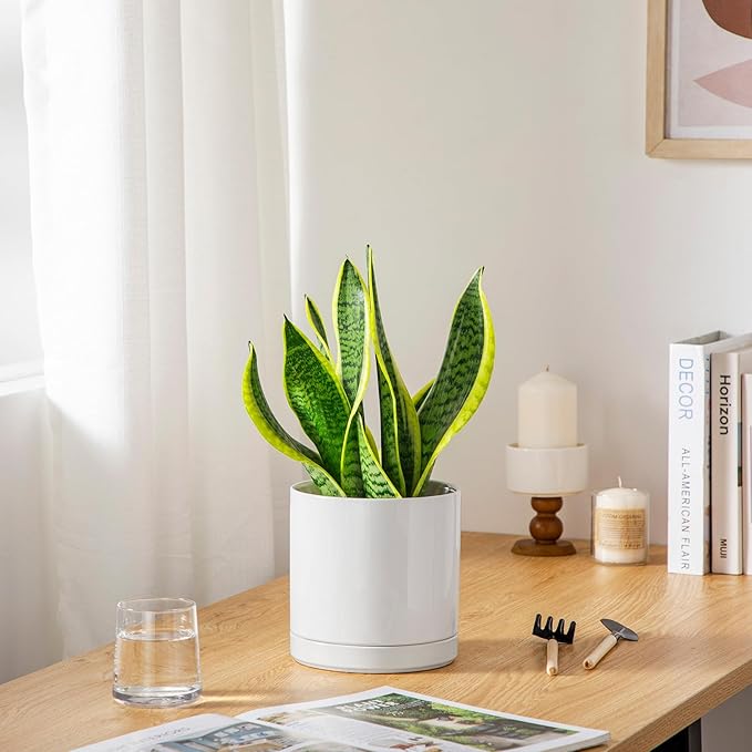 vancasso Ceramic Plant Pots, 6.25 Inch Ceramic Pot for Plants, Planters Pots for Indoor Plants with Drainage Holes, Flower Pot for Indoor House Plant, White-Ruum Studio Home