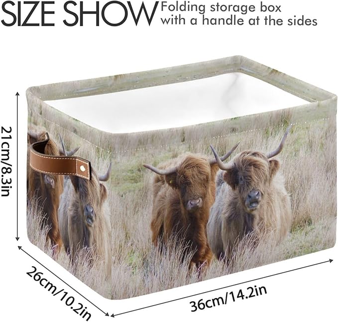 Highland Cows Storage Basket Cube Storage Bins Organizer Bag Collapsible Closet Shelf Baskets with handle for Baby Cloth Pet Toy Book 14.2×10.2×8.3 IN-Ruum Studio Home