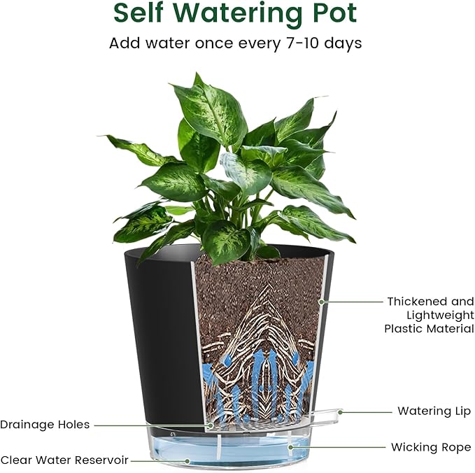 6 inch Self Watering Pots for Indoor Outdoor Plants, 6 Pack Flower Plant Pots with Drainage Holes and Clear Reservoirs, Visible Water Level, Plastic Planters with Wicking Rope, Black-Ruum Studio Home