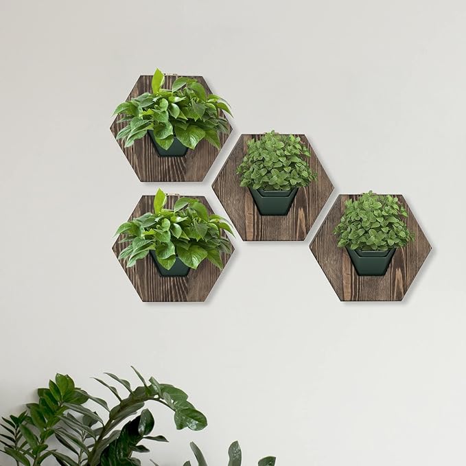 Hexagonal Wooden Wall Planter, Self Watering Living Vertical Planter Indoor, Wooden Frame Planter Wall Decoration Home Office,2pc Walnut-Ruum Studio Home