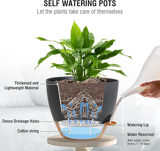 10 inch Self Watering Hanging Planters, 2 Pack Hanging Flower Pots for Indoor Outdoor Plants, Hanging Baskets with Drainage Holes & 2 Kinds of Plant Hangers for Garden Home Decor, Black Brown-Ruum Studio Home