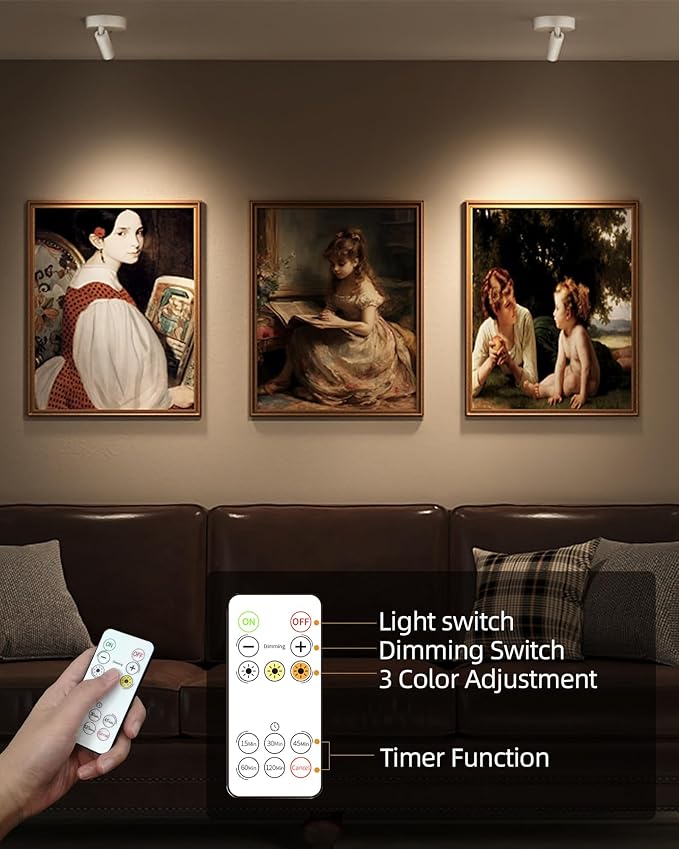 EZVALO Spot Lights Indoor,5500mAh Rechargeable Picture Lights with Remote,Wireless Mini Art Accent Spot Lights with Timer＆Dimmable, 3CCT, Uplights Indoor for Plants,Display,Artwork(2Pack-White)-Ruum Studio Home