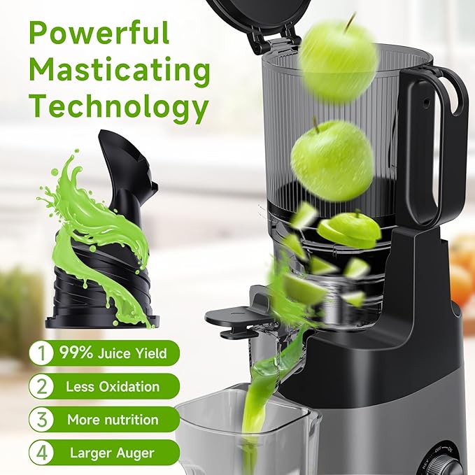 Cold Press Juicer, 5.3" Wide Feed Chute Juice Extractor Machine with 400W, High Juice Yield, Slow Masticating Juicer for Whole Vegetables & Fruits, Deep Grey-Ruum Studio Home