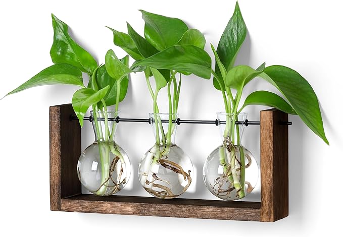 YIBOT Plants Propagation Stations,Plant Terrarium with Wooden Stand Wall Hanging Glass Planter Plant Propagation Vase for Indoor Office Home Garden Decor Plant Lover Gifts for Women-Ruum Studio Home