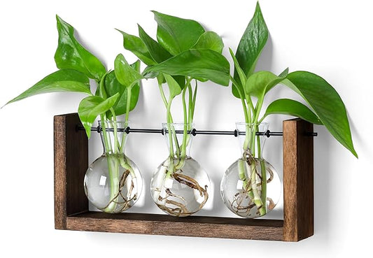YIBOT Plants Propagation Stations,Plant Terrarium with Wooden Stand Wall Hanging Glass Planter Plant Propagation Vase for Indoor Office Home Garden Decor Plant Lover Gifts for Women-Ruum Studio Home