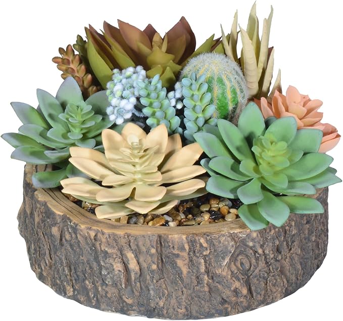 Premium Assorted Artificial Succulent Collection - Large Real Touch Artificial Cactus, Aloe Vera & Succulent Plants Artificial with Pots for Home Office Indoor (Artificial Tree Stump - Pot)-Ruum Studio Home