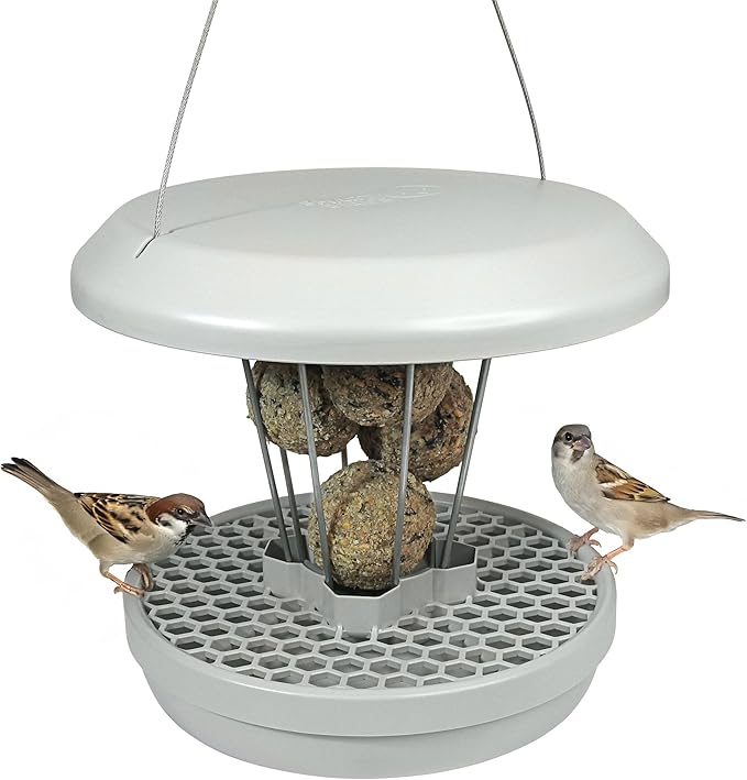 SWISSINNO No Mess Bird Feeder Lucerne Smart Birds for Fat Balls - Feed Birds, not mice & Rats! Robust & Reliable for Hanging - Light Grey-Ruum Studio Home