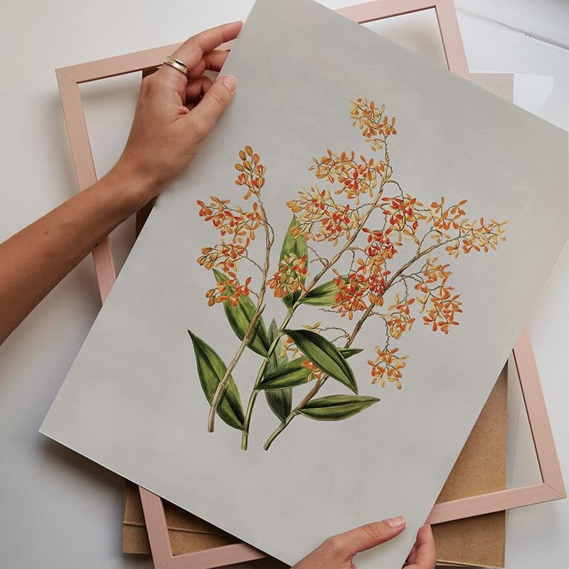 Set Of 9 French Country Prints Wall Decor - Landscape Wall Art French Country Decor, Vintage Wall Decor Gallery Wall Art, Large Bathroom Art Prints, Farmhouse Floral Vintage Art(11X14 IN UNFRAMED)-Ruum Studio Home