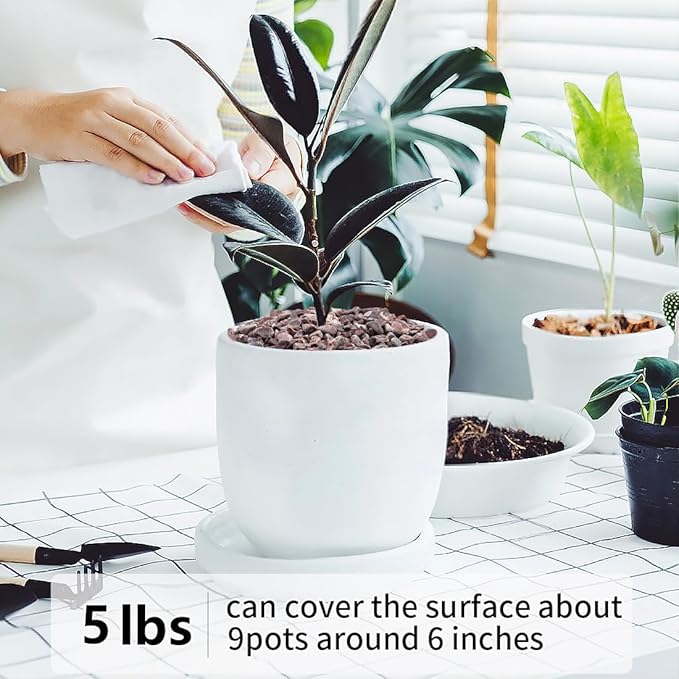 5LB Succulent and Cactus Gravel Pebbles, 1/5 Inch Natural Decorative Polished Stones, River Rocks for Vases Gardening Indoor and Outdoor Decorative Rocks, Red-Ruum Studio Home