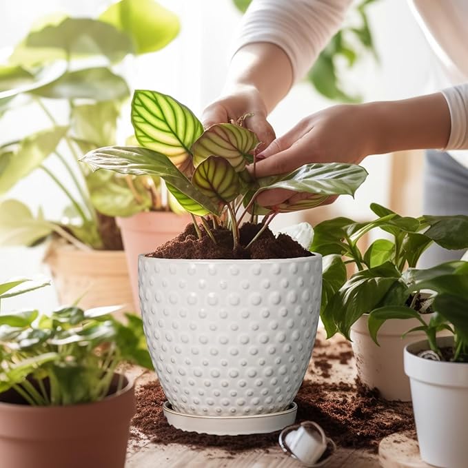 G EPGardening 6 Inch Ceramic Plant Pot with Drainage Hole and Saucer Round Planter Decorative Flower Plant Pot for Indoor Plants Outdoor White-Ruum Studio Home