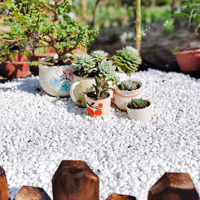 10LB Succulent and Cactus Gravel, 1/5 Inch White Natural Decorative Polished Pebbles for Landscaping, River Rocks for Plants, Vases, Aquariums, Terrarium and Outdoor Gardening-Ruum Studio Home