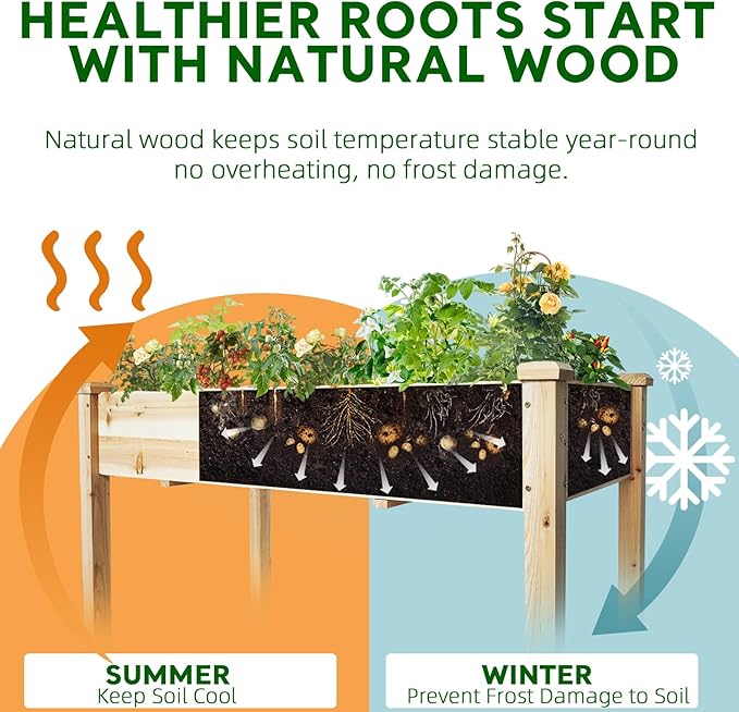 BSP Raised Garden Bed with Legs Outdoor Elevated Planter Box Flower Bed Wood Planter for Vegetable Herb Upgraded Solid Structure Growing Box Suitable for Backyard Patio and Balcony, 48”L X 24”W-Ruum Studio Home