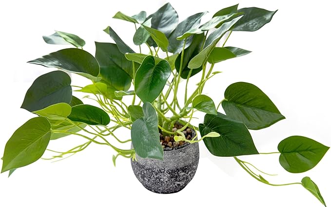 AlphaAcc Artificial Plants Potted Real Looking Small Faux Plant with Rustic Black Cement Planter for Kitchen Office Desk Bookshelf Decor (Ivy Plant)-Ruum Studio Home