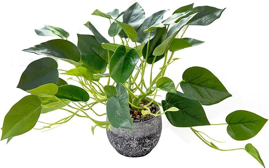 AlphaAcc Artificial Plants Potted Real Looking Small Faux Plant with Rustic Black Cement Planter for Kitchen Office Desk Bookshelf Decor (Ivy Plant)-Ruum Studio Home