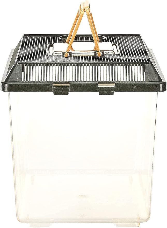 Exo Terra Faunarium, Plastic Reptile Terrarium, Medium, PT2260-Ruum Studio Home