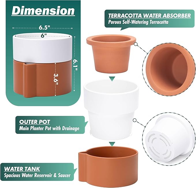 6.5 Inch Self-Watering Planter Pot with Terracotta Insert, Deep Water Reservoir, and Ceramic-Alike BPA-Free Plastic Pot for Plant, Modern Planter for Houseplants, Terracotta/White, 53-B-S-6-Ruum Studio Home