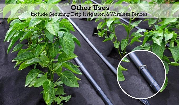 Sandbaggy 6 inch Landscape Sod Staples (9 Gauge Steel) ~ Great for Hard Soil - 20% Thicker Than Competition - Trusted by Farmers & Contractors Across USA (200 Staples)-Ruum Studio Home