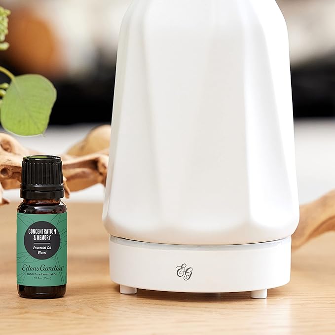 Edens Garden Concentration & Memory Essential Oil Blend- 100% Pure Premium Grade, Undiluted, Natural, Therapeutic, Aromatherapy, The Best for Diffusing, Kid Safe, Humidifiers, Skin 10 ml (.33 fl oz)-Ruum Studio Home