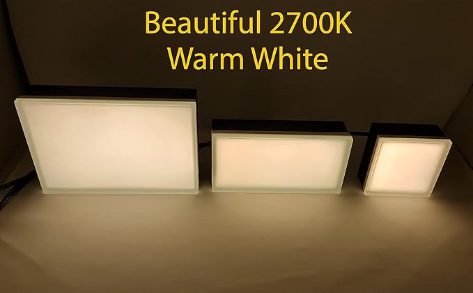 LUMENGY Paver Light 3×9 Inch (2.95 inch X 8.85 inch), Warm White Glare-Free Illumination for Driveways, Pathways, Pool Deck & Patios,12V AC/DC, Waterproof & Drive-Over Rated-Ruum Studio Home