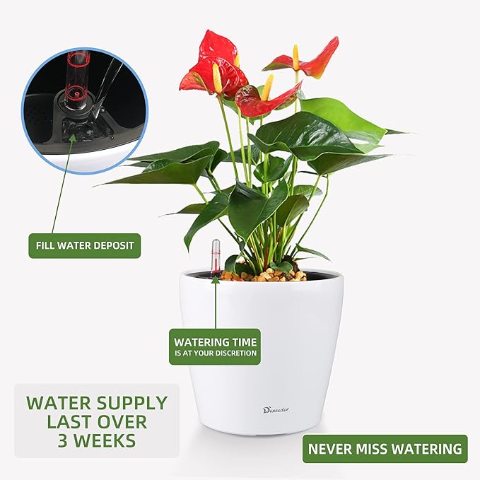 Dexceder 9x8 Inches High Gloss Self Watering Planter Indoor Outdoor, Inner Pot Design, Thickened Table Flower Plant Pot with Water Level Indicator (White)-Ruum Studio Home