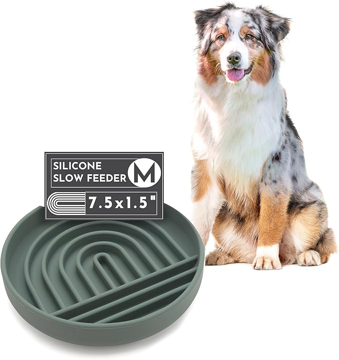 The Slowdown Bowl Silicone Slow Feeder for Dogs & Puppies, Slow Eating, Modern Lick Mat Design, Reduces Gulping, Fits 2 Cups 7.5” Across x 1.5” Tall, Mealtime Challenge, Medium-Spruce-Ruum Studio Home