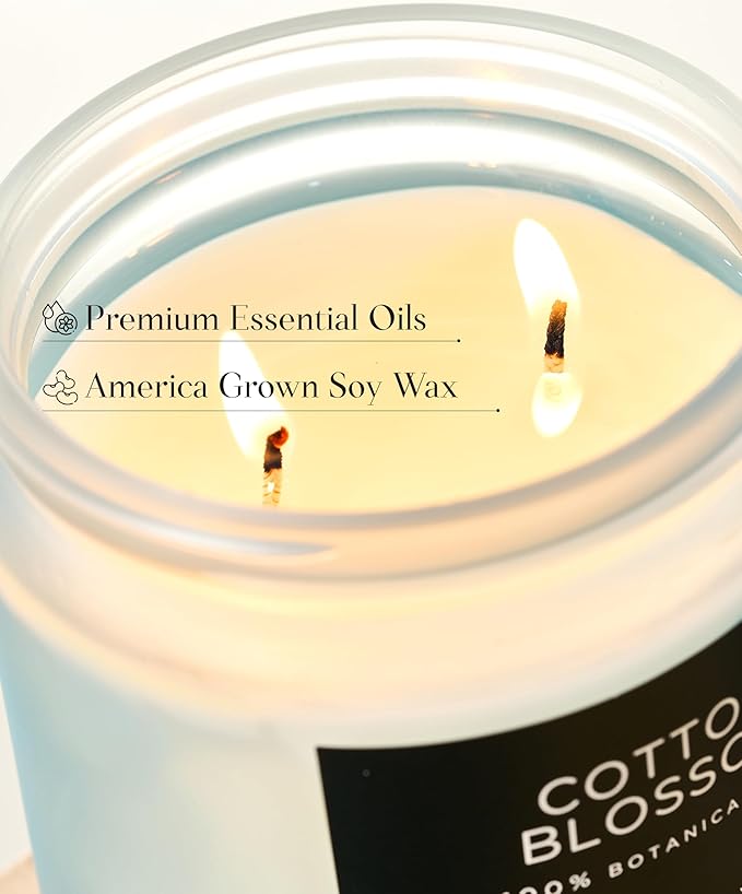 M&SENSE Clean Cotton Scented Candle - 11.6oz Natural Soy Wax Clean Cotton Blossom Scent Non Toxic Candle, 70-Hour Slow Burning 2-Wick Aromatherapy Home Fragrance Gifts for Home Decor-Ruum Studio Home