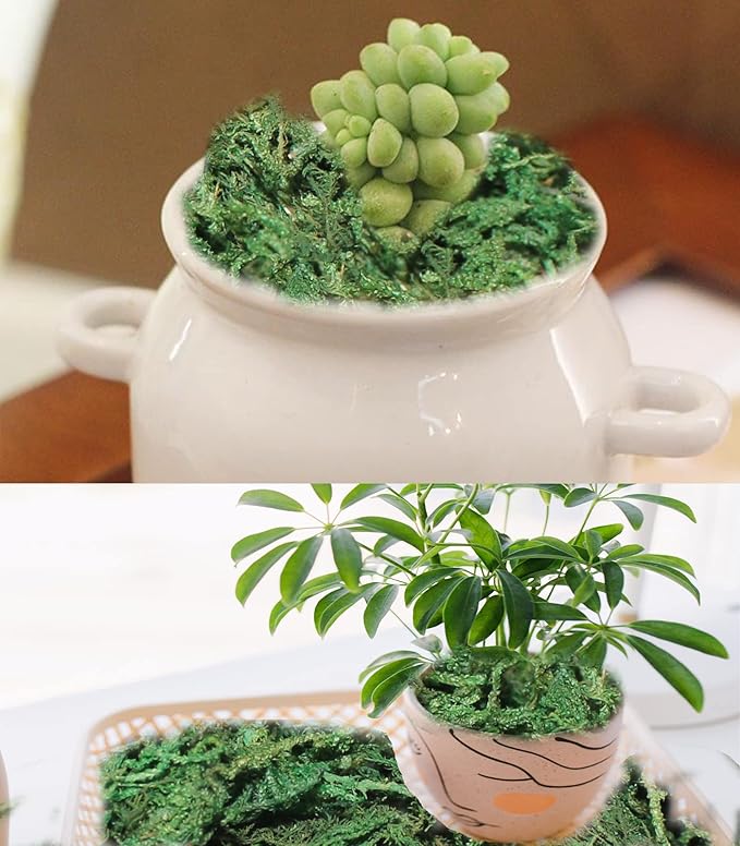 35 OZ Artificial Moss for Fake Plants and Planters - Decorative Faux Moss for Craft and Home Decor-Ruum Studio Home